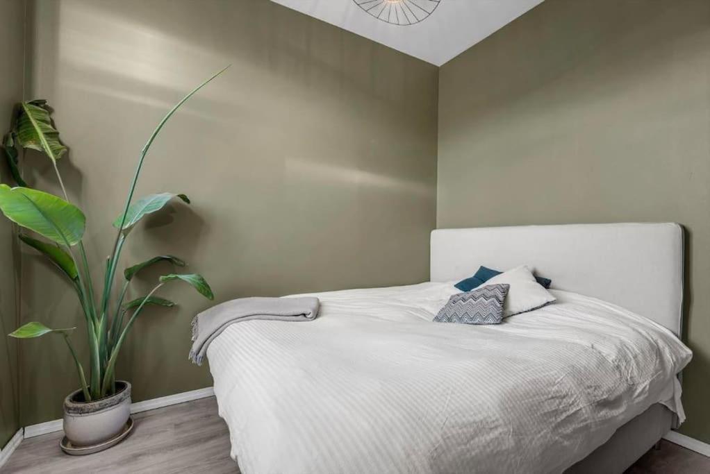Newly Renovated - Oslo Downtown Apartment ภายนอก รูปภาพ